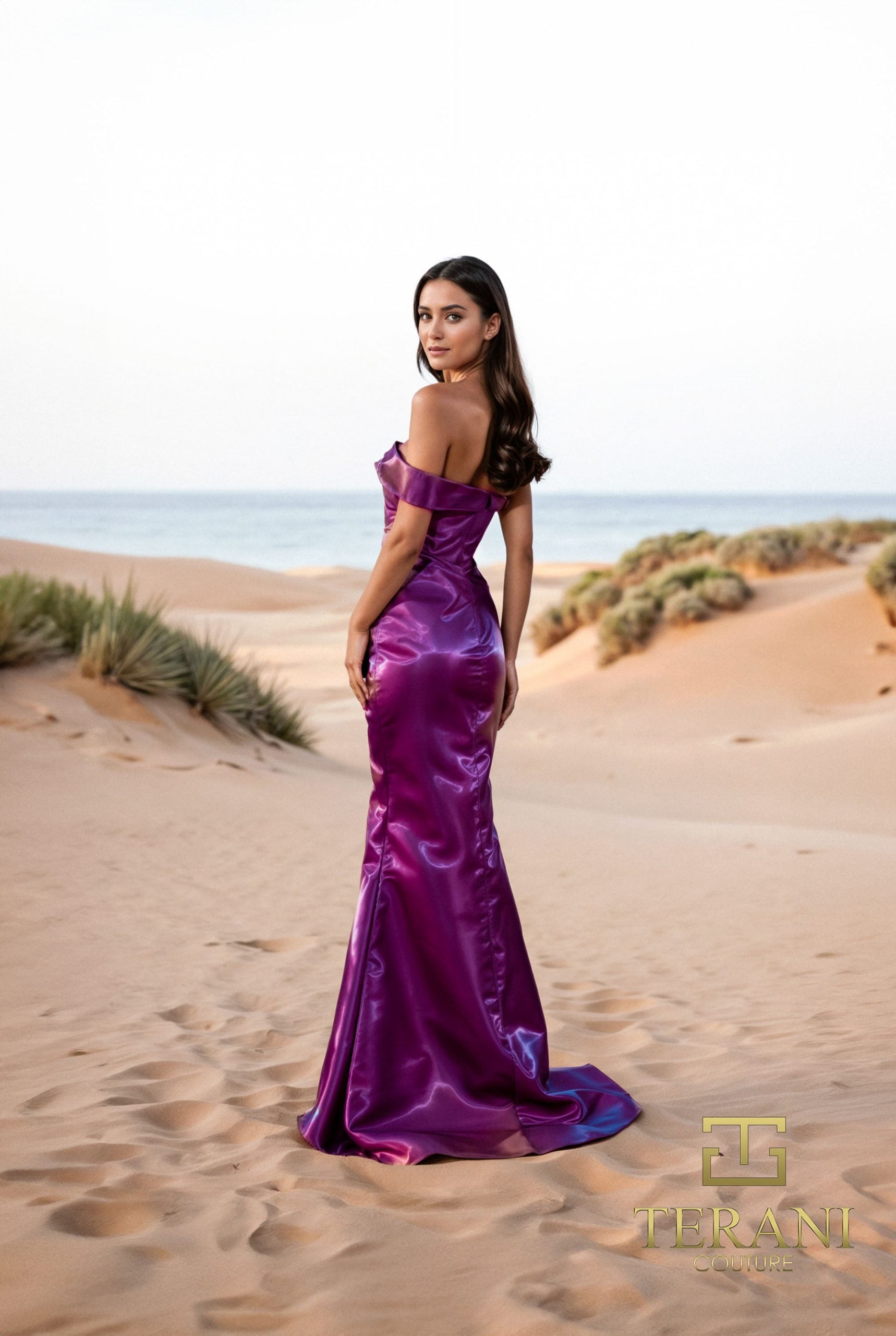 252E5162 – Fit and Flare Long Evening Dress