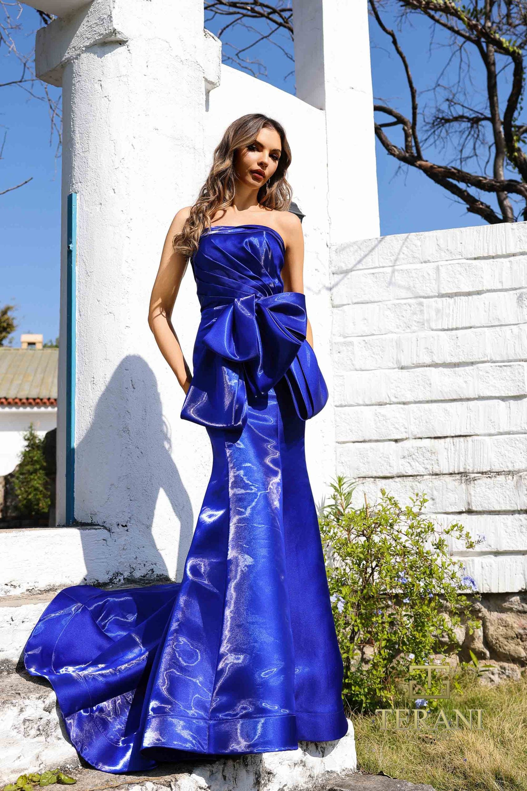 252E5164 – Fit and Flare Long Evening Dress