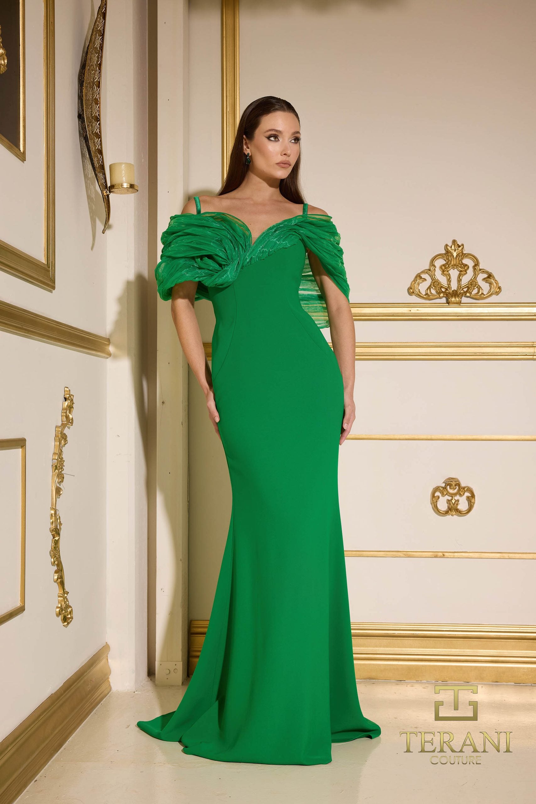 252E5181 – Fit and Flare Long Evening Dress - Emerald